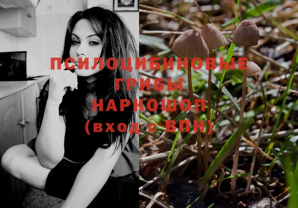 мдма Бородино